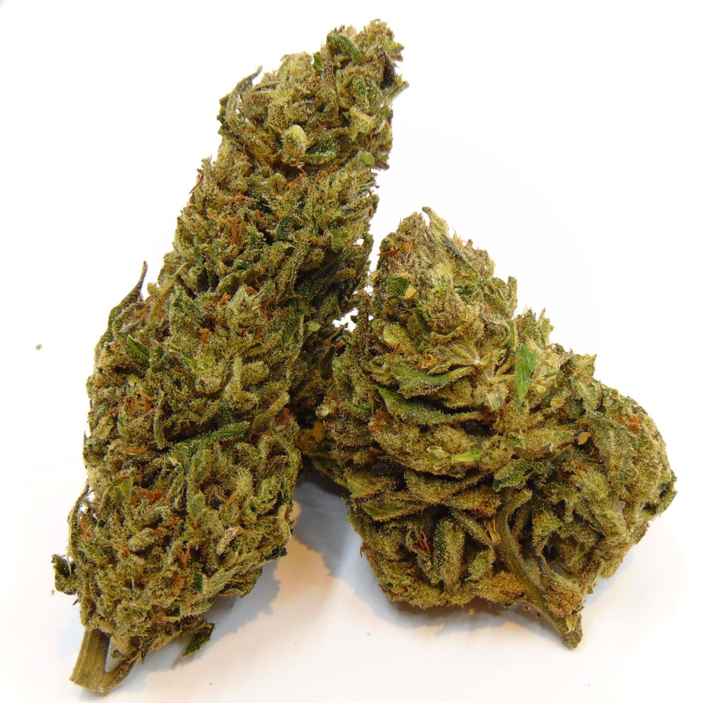 Sour Lifter