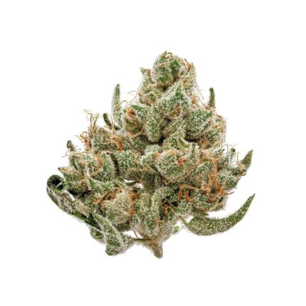 Gorilla Glue